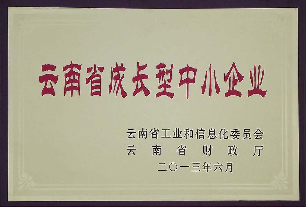 云南省成長(cháng)型中小(xiǎo)企业