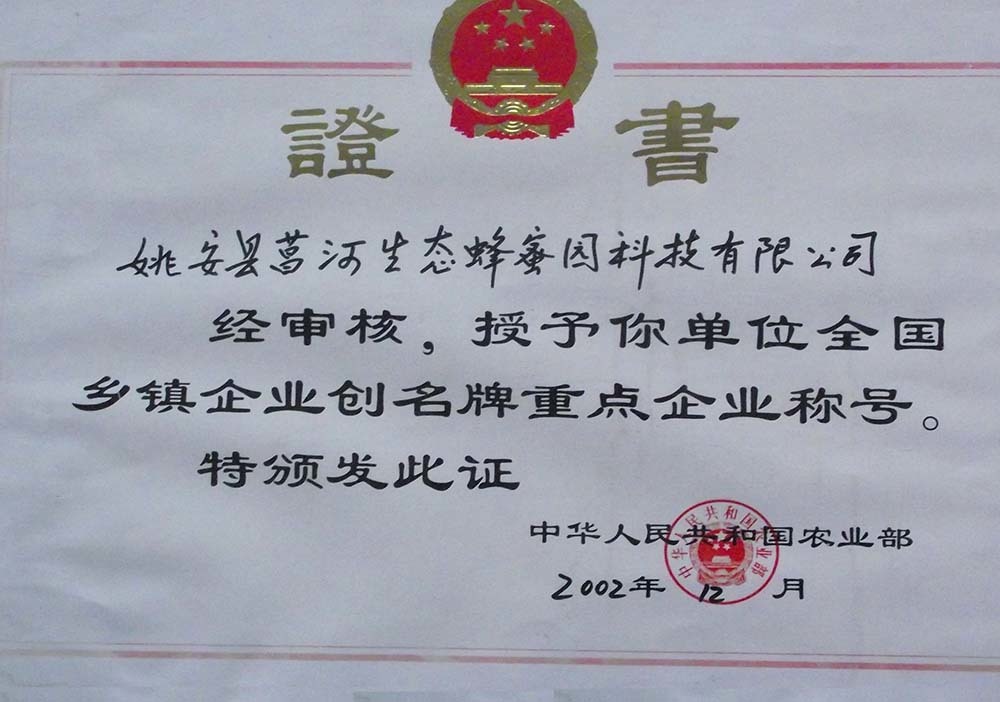 全國(guó)乡镇企业创名牌重点企业